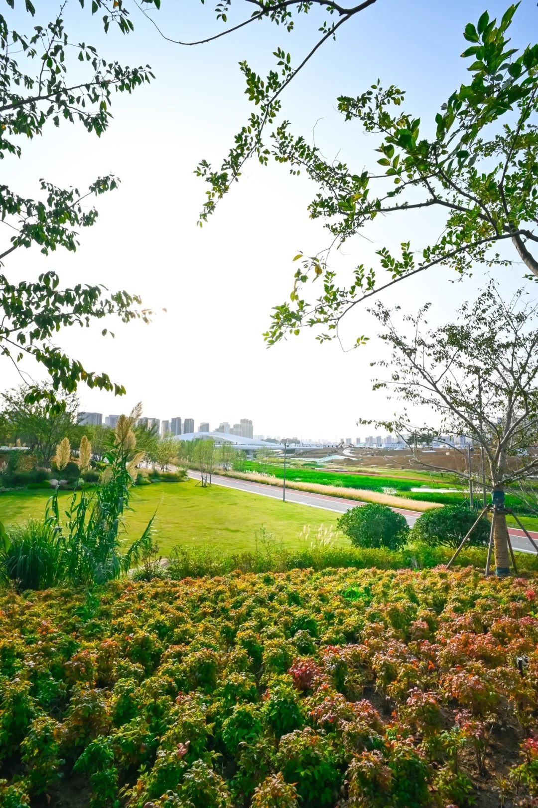 青島張村河生態(tài)公園 | 置身自然秘境，做綠色童年的探尋者
