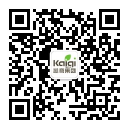 秋千蕩進(jìn)元宇宙：無(wú)動(dòng)力游樂(lè)設(shè)施的AR變革